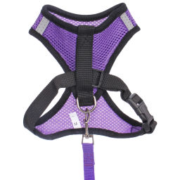 Цена за 2 шт. Шлейка с поводком 118см "Sweet puppy" размер M, цвет фиолетовый