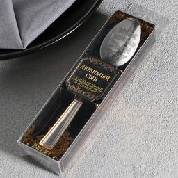 Ложка чайная с гравировкой Любимый сын, в подарочной коробке, 3?14 см