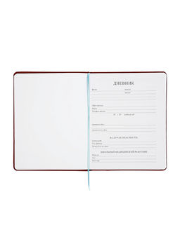 Дневник школьный 1-11 класс, ляссе, обложка искусственная кожа, с хлястиком, коричневый