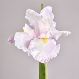 ЦВЕТОК ИСКУССТВЕННЫЙ РОЗОВЫЙ ИРИС ВЫСОТА=95СМ