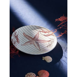 Набор из четырех тарелок Aquarium из коллекции Sea treasures, 21,5 см - Tkano фото 5