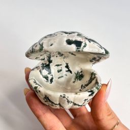 Морской Гребешок из Агата мохового