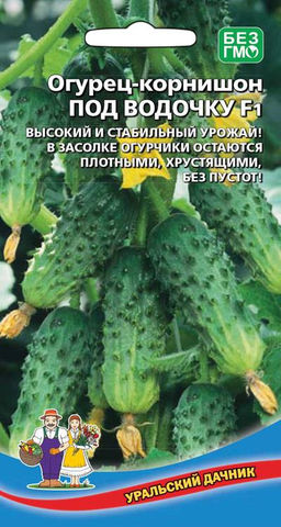 Огурец ПОД ВОДОЧКУ F1 Высокий и стабильный урожай! В засолке огурчики остаются плотными, хрустящими, без пустот!