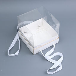 Коробка для торта с прозрачной крышкой, белая, 17×17×15 см