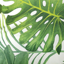 Постельное бельё Этель 1,5 сп., Монстера, размер 143х215 см, 150х214 см, 70х70 см - 2 шт  фото 2