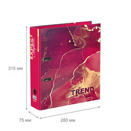 Expert Complete Регистратор ламинир. Marbling 75 мм 10 шт. Trend A4 арочный механ. глянцевый розовый EC751704