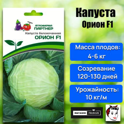 Капуста белокочанная позднеспелая Орион - Партнер фото 8