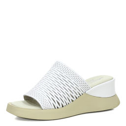 38769a1f2f6fa3ee93e42fa8bf82d3805z5m2l1b02rlvnzkds