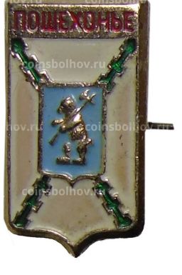 Значок Пошехонье