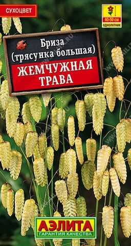 Бриза Жемчужная трава