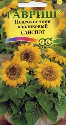 Подсолнечник Санспот карликовый 0,5г 40см(г)