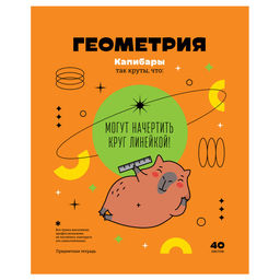Тетрадь 40л. ЗАПИСКИ ШКОЛЬНИКА "Геометрия" (ТПск40 12823, BG)