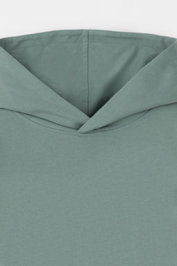 КР 302680-1/полынь джемпер (худи) для мал