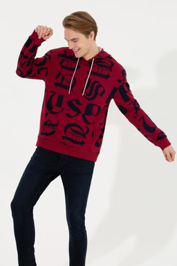 Мужская толстовка с капюшоном Cherry - U.s. polo assn фото 3