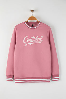 Pembe Regular/Normal Kesim Triko Bantl_ Nak__l_ Sweatshirt TMNAW26SW00066 - Trendyolmilla фото 2