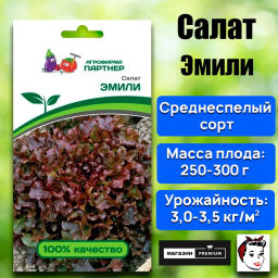 Салат листовой Эмили - Партнер фото 2