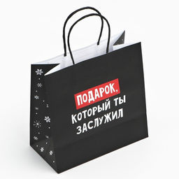 Цена за 2 шт. Пакет подарочный новогодний «Подарок, который ты заслужил», 22×22×11 см