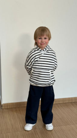 Худи в полоску 22-7701 полоска