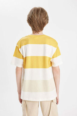 Полосатая футболка с короткими рукавами для мальчиков с круглым вырезом - Defacto фото 6