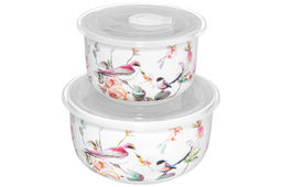 Набор 2 салатников 500 мл 13,5*13,5*7 см + 300 мл 10,5*10,5*6,5 см Певчие птички с крышк. NEW BONE