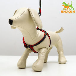 Комплект Джинс, поводок 120 х 1 см, ОГ 25-40 см, красный