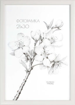 Фоторамка 21x30 / 1503-015 /уп10,ф - Галеонтрейд фото 4
