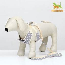 Комплект с мягкой шлейкой Горох, размер М, поводок 120 х 1,5 см, ОГ 34-66 см, серый