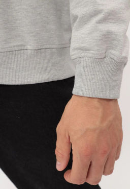 Худи мужское GREG G172-OZ02-28 (св.серый м.)