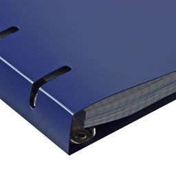 Тетрадь на кольцах, в клетку, 120 листов Синяя, пластиковая обложка, блок офсет - Calligrata фото 3