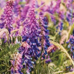 Полотенце Этель Любимая бабушка 40х73 см, 100% хлопок, саржа 190 гр/м2  фото 2