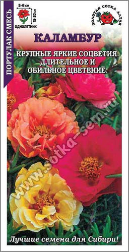 Портулак Каламбур (смесь, махровый) 0,1г (Золотая сотка Алтая)
