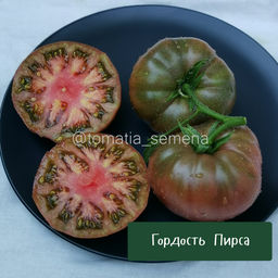 Гордость Пирса