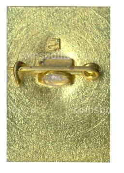 Значок Петродворец