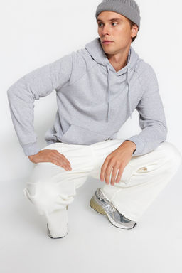 TRENDYOL MAN Gri Regular/Normal Kesim Kapusonlu Ici Polar/S?cak Tutan Sweatshirt TMNAW23SW00194 - Trendyolmilla фото 39