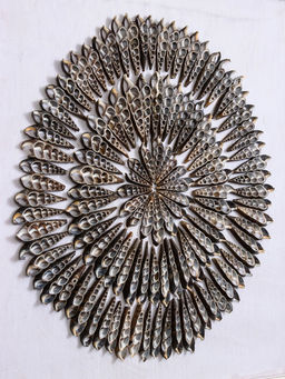 Панно «Композиция из ракушек», 45×3×45 см