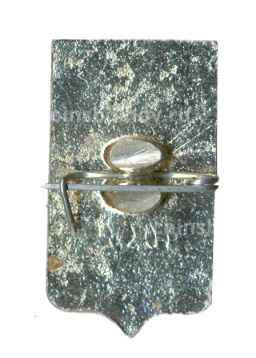 Значок Ростов