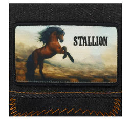 Бейсболка GOORIN BROTHERS арт. 101-1232 (черный) фото 3