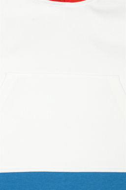 U. S. Polo Assn Белая толстовка с капюшоном для девочки - U.s. polo assn фото 4