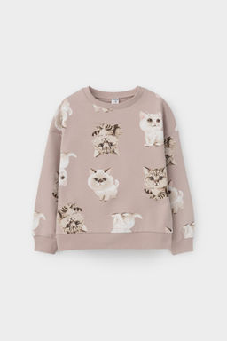 КР 302606/кофейный,милые кошечки к511 джемпер для дев - Crockid фото 2