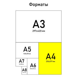 Колледж-тетрадь А4, 120 листов на спирали, Черно-золотые листья, обложка мелованный картон 215 гр., внутренний блок в клетку 80 гр., белизна 96% - Artfox study фото 6