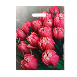 Цена за 50 шт. Пакет "Стелла", полиэтиленовый с вырубной ручкой 31х40 см, 60 мкм