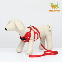 Комплект с мягкой шлейкой и бантиком Якорь, размер S, поводок 120 x 1,5 см, ОГ 23-42 см, красный