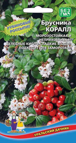 Брусника КОРАЛЛ  Рубиновые россыпи! Морозостойкая и неприхотливая! Целебные кисло-сладкие ягоды! Хороши для заморозки!