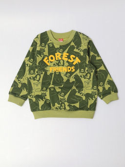 CRB wear / CWBB 64002-37-429 Джемпер для мальчика,зеленый