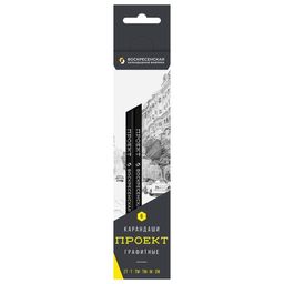 ВКФ Проект 6B-4010 Набор графитных карандашей заточенный ассорти 8 х 6 шт. 2М(2B), М(B), ТМ(HB), ТМ(HB), Т(H), 2Т(2H)