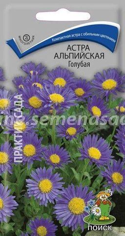Астра альпийская Голубая (ЦВ) (М) 0,04гр.