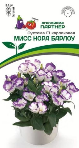 Эустома карликовая бело-фиолетовая с каймой Мисс Нора Барлоу