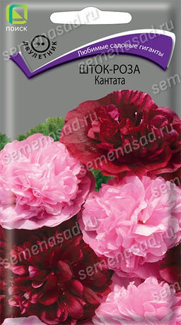 Шток-роза Кантата (ЦВ) ("2) 0,1гр.