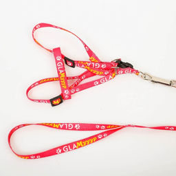 Комплект GlaМууур, шлейка 26-39 см, поводок 120х1 см - Пушистое счастье фото 7