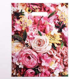 Цена за 50 шт. Пакет "Элизабет", полиэтиленовый с вырубной ручкой 31х40 см, 60 мкм